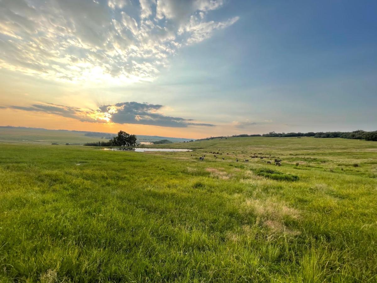 Holbank River Lodge Ermelo Εξωτερικό φωτογραφία